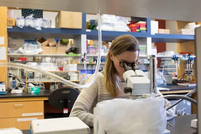 This year, West Virginia University became the first university in the state to offer an undergraduate neuroscience major. The program, housed in the Eberly College of Arts and Sciences, is a dual effort between the departments of psychology and biology. 