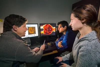 WVU’s new two-photon imaging facility to expand neuroscience research and teaching
