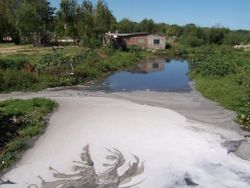 Industrial waste flows into a canal in La Teja.