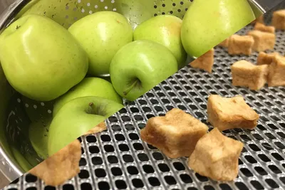 The old saying goes “where there’s smoke, there’s fire,” and a few West Virginia University faculty believe the adage holds true when looking at the potential for West Virginia’s apple growers to develop and market a unique food item that could become the hottest new snack — dried, smoked apple chunks.

Growers and other interested parties will soon learn about producing, marketing and selling the snack thanks to faculty from the WVU Extension Service, WVU Davis College of Agriculture, Natural Resources and Design, and the WVU School of Social Work who received a United States Department of Agriculture grant to develop and later deliver workshops around the state.