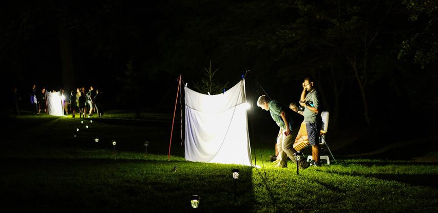 Two sheets are held up by poles and illuminated by lights to attract moths. At each sheet stands a group looking to see what moths have landed there.