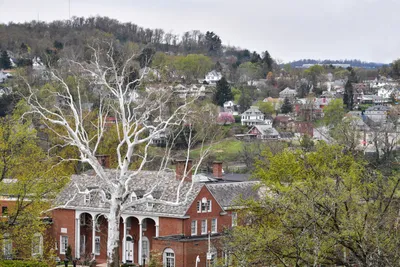 With the COVID-19 pandemic upending life as we know it, researchers in West Virginia University’s Eberly College of Arts and Sciences are taking quick action to study how people from Appalachia to Europe are responding to the pressure this crisis has placed on their communities.