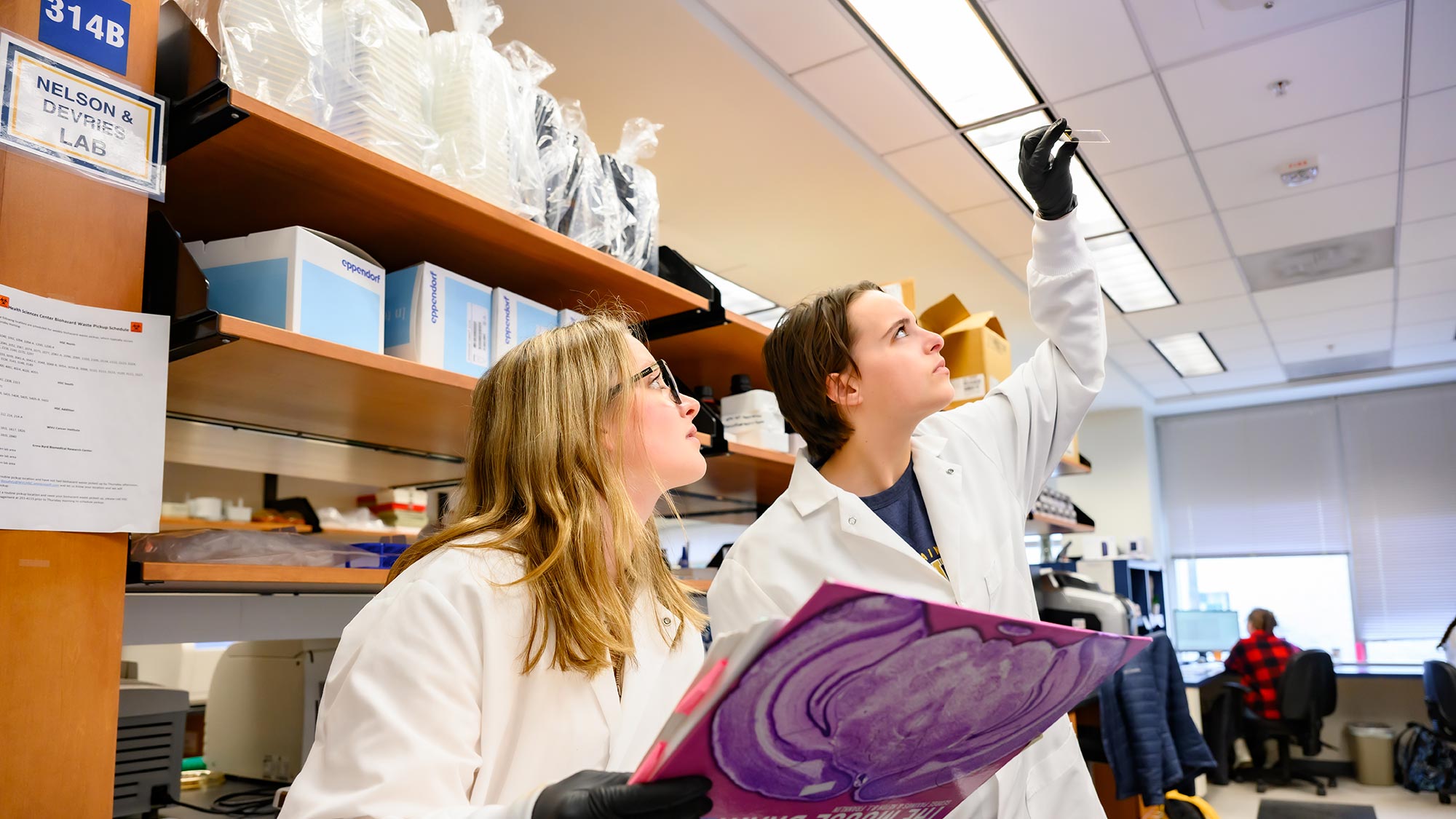 Article thumbnail for WVU neuroscience students pioneer new frontiers in undergraduate research
