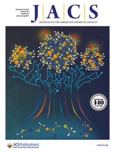 Journal of the American Chemical Society December 2019 photo