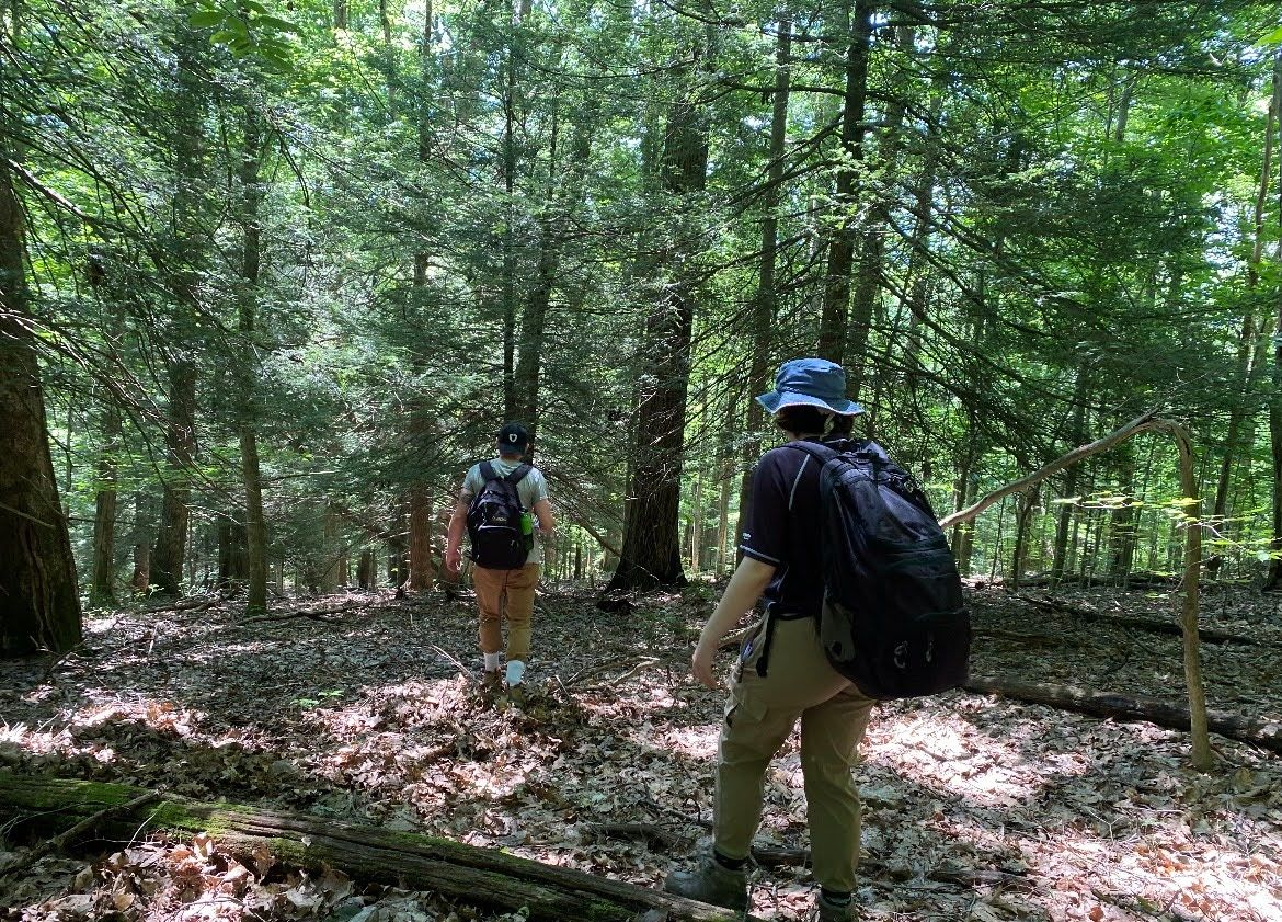 Two highschool students with backpacks and hats walk in the forest